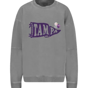 Sudadera TAMPA gris Newtone.