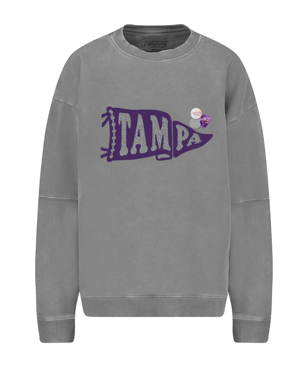 Sudadera TAMPA gris Newtone.
